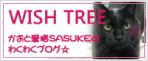 WITH TREE かおと愛猫SASUKEのわくわくブログ☆