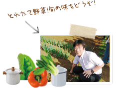 とてたて野菜!旬の味をどうぞ!